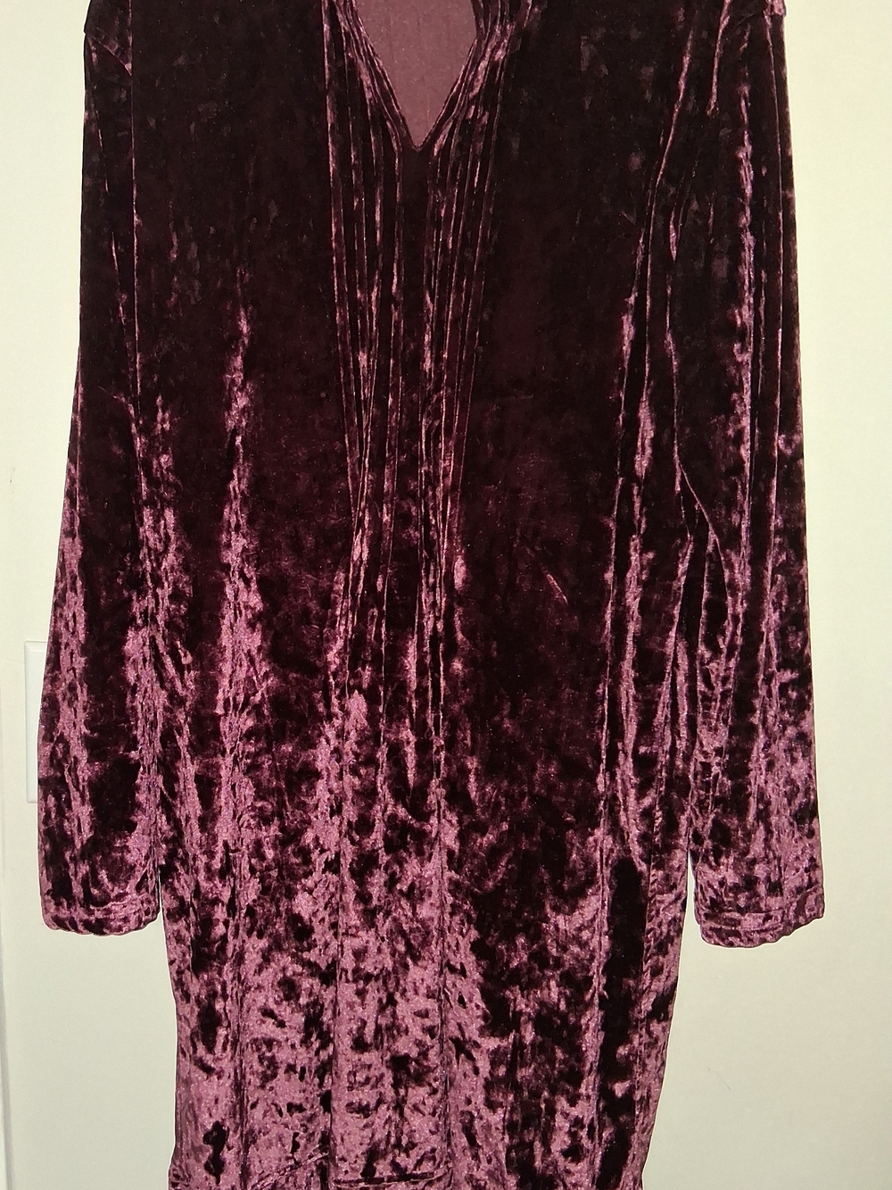 Universal Plush Velvet Top in Plum